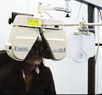 Subjective Refraction via Binocular Technique Our Professional Services