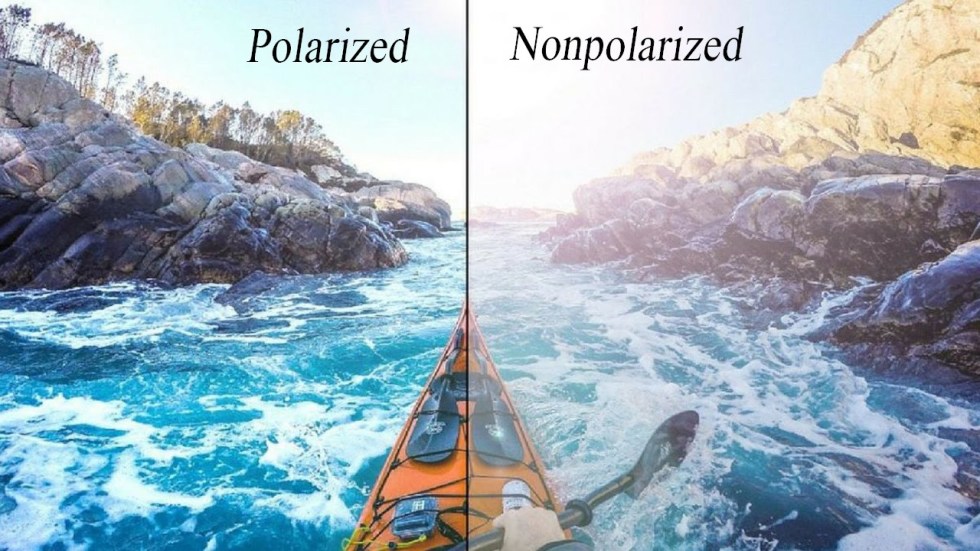 Polarized and non polarized