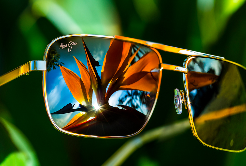 MAUI JIM SUNGLASSES